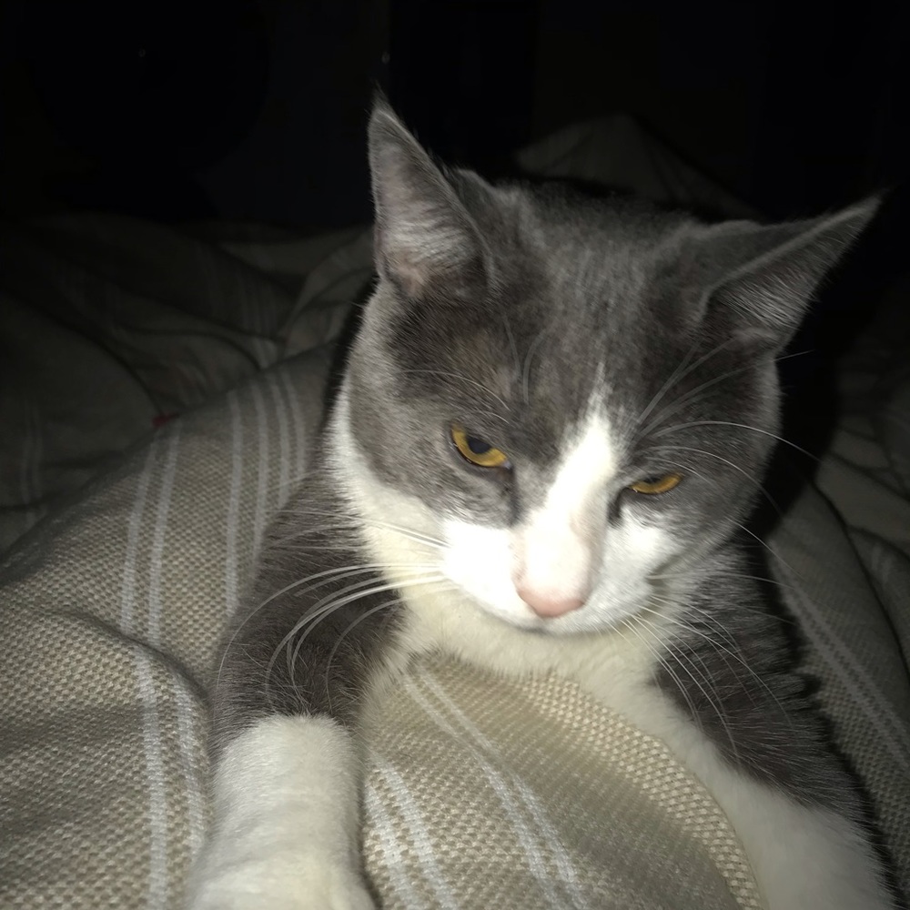 Meet your Posher, Nicole